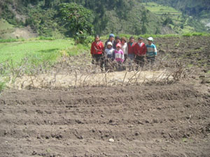 Landwirtschaftliche Aktivitäten in den Schulen von Varaspamba und Pinipala