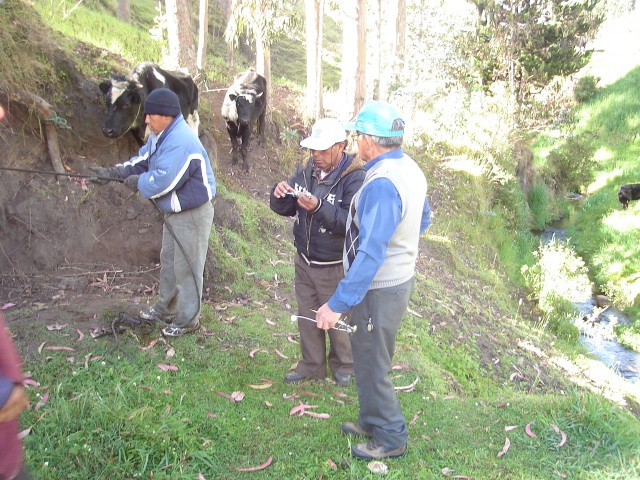 Anti-Parasites for the cows of Cagrín's community