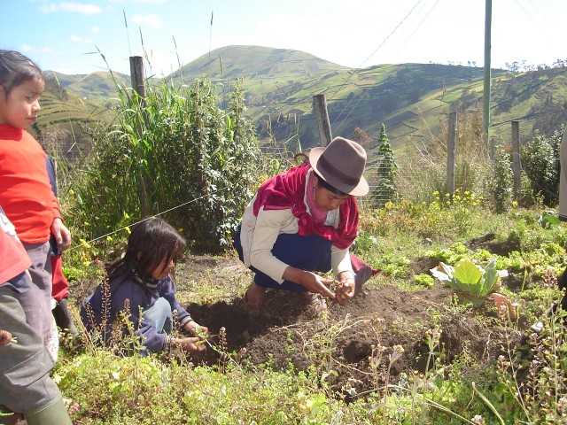 Harvest of kid's garden