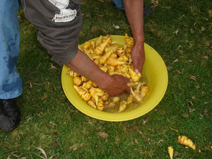 Nutrition workshop in Santiago de Quito's Institute