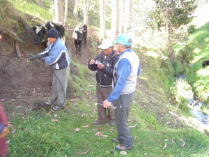 Desparasitación Bovina en Comunidad de Cagrín 