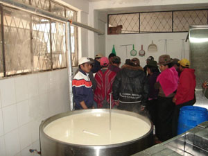 Besichtigung zweier Milchverarbeitungsbetriebe