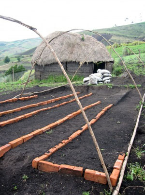 Proyecto de Mejoramiento de la nutrición y salud en el Cantón Colta