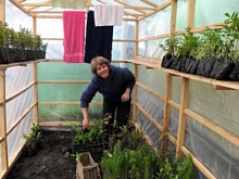 Alexa place the plants in the new greenhouse