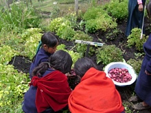 Students gathering Melloco