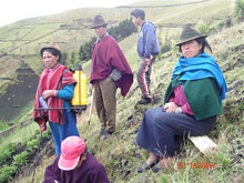 Un día de campo demostrativo