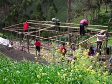 La estructura está casi lista