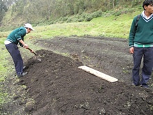 Preparing the garden