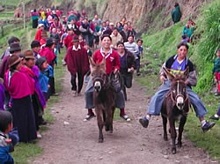 La carrera con los burros