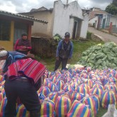 Entrega alimentos 24-04-2020