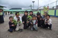 Each child was given a native tree