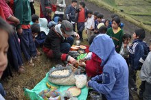 Alle zusammen beim Picknick