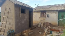 Baterias Sanitarias Secao 2024
