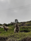 La Esperanza Paisaje / Landschaft 