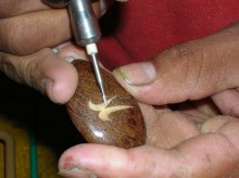 Bearbeitungsschritte des "Tagua-" Handwerkes