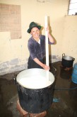 Darauf wartend, dass die Bauarbeiten an der Quesería abgeschlossen werden, werden in einem provisorischen Raum bereits jetzt schon Käse hergestellt