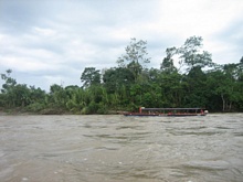 Fluss im Regenwald