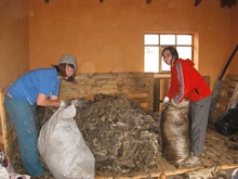 We delivered to spinning mill in Salinas de Bolivar, the wool which we collected in the center of Cochaloma