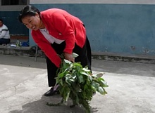 Los sistemas tradicionales de parto han sido tratados. En esta foto una &quot;curandera&quot; o &quot;shamana&quot; explica como se realiza la limpieza del área en donde se realizará el parto.